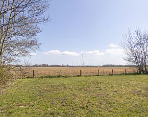 Verblijf 01022552 - Bungalow Texel - Californiëweg 73