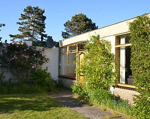 Achtertuin van Vredelust 283 bungalow in De Koog, Texel, met kleurrijke bloemen.