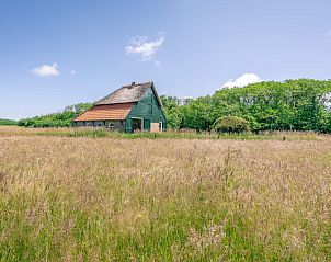 Schapenboet De Boet surrounded by nature in De Koog, Texel. Vacation home in an idyllic setting on the Wadden Islands.