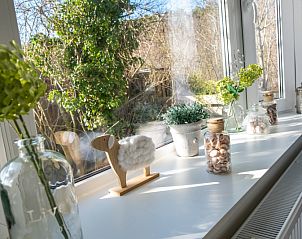 Decorative windowsill in Chalet Bregkoog 207, Texel overlooking garden.