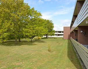 Spacious garden surrounding Apartment Kerckeland 16 in De Koog, Texel with lots of grass and large trees.