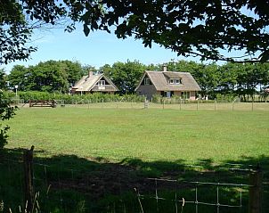 Blick auf die Umgebung von 6p.Reetdach-Ferienhaus Eldorado Texel, De Koog, mit grnen Wiesen.