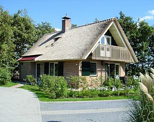 6p.Reetdach-Ferienhaus Eldorado Texel in De Koog, einladend mit Reetdach und grner Umgebung.