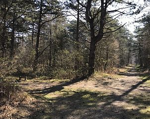 Unterkunft 010236 - Ferienhaus Texel - De Prins / Jonker / Jonkvrouw