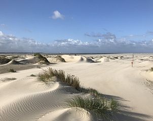 Unterkunft 010236 - Ferienhaus Texel - De Prins / Jonker / Jonkvrouw