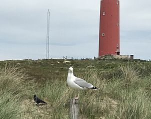 Unterkunft 010236 - Ferienhaus Texel - De Prins / Jonker / Jonkvrouw