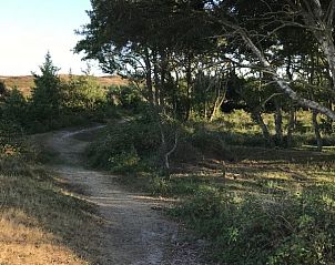 Unterkunft 010236 - Ferienhaus Texel - De Prins / Jonker / Jonkvrouw