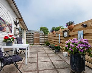 Unterkunft 0102376 - Ferienhaus Texel - Vakantiehuis 2490