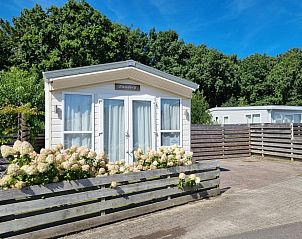 Chaletpark Bregkoog, De Koog Texel, vacation home with sunny veranda and flowering hydrangeas.