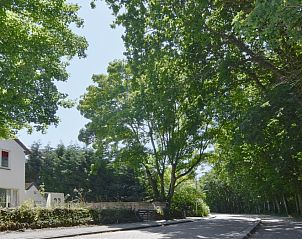 Exterior of Texel C vacation home in De Koog, Texel, surrounded by lush trees and green nature.