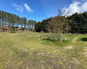 Extensive lawn at Holiday home in De Koog, ideal for outdoor activities, Texel, Wadden Islands.