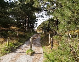 Verblijf 010253 - Vakantiewoning Texel - Stappeland - De Kemphaan