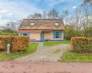 Unterkunft 0102551 - Bungalow Texel - T4A
