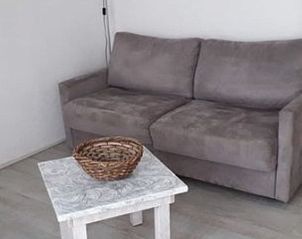 Comfortable sitting area in Apartment Dorpsstraat 245 in De Koog, Texel with gray sofa.