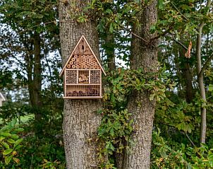 Insektenhotel im Garten von 37 - 14 Lepelaar - BLV-Kleingarten Nr. 1, Ferienhaus in De Koog, Texel.