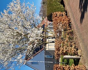 Beautiful nature surrounding Villa 8, De Koog, Texel, provides a serene setting for this vacation home.