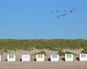Birds above beach house at 6-person vacation home, De Koog, Texel