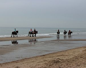 Beach ride on horseback near 6-person vacation home, De Koog, Texel