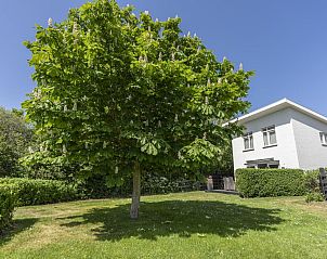 Guest house 0102632 - Holiday property Texel - Strandhuys Wulk