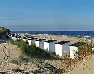 Guest house 0102696 - Holiday property Texel - Villa  Hoogelandt 10