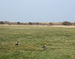 Verblijf 0102698 - Vakantiewoning Texel - Villa Hoogelandt 70