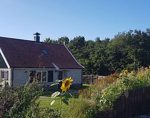 Sonnenverwhnter Garten der Duinrand Ferienhuser Typ 1 in De Koog Texel mit Sonnenblumen.