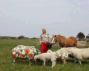 Interaktives Erlebnis mit Tieren in der Texel Villa Duinzicht, De Koog, Texel auf den Watteninseln.