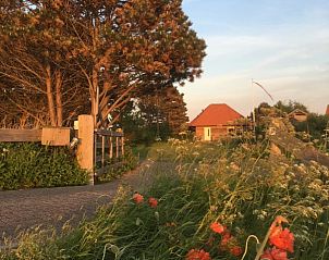 Zufahrtsstrae zur Texel Villa Duinzicht, De Koog, Texel mit bunten Blumen und Bumen.
