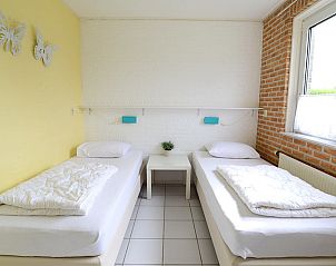 Unterkunft 010291 - Bungalow Texel - Stappeland 217 & 209