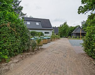 Guest house 0102946 - Holiday property Texel - De Koog nr 6 tm 10- 6 pers woning de luxe
