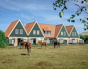 Verblijf 0102973 - Vakantiewoning Texel - Landleven vakantiehuis 83