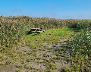 Unterkunft 010301 - Ferienhaus Texel - Stiekel