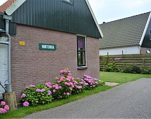 Unterkunft 010302 - Ferienhaus Texel - Hortensia