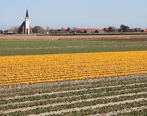 Unterkunft 010303 - Bungalow Texel - De Kemphaan: Bungalow