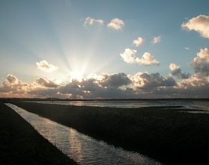 Unterkunft 010303 - Bungalow Texel - De Kemphaan: Bungalow