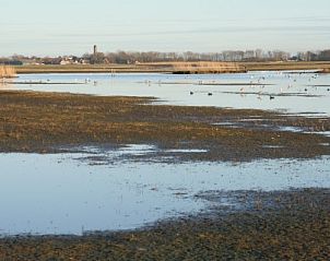Unterkunft 010306 - Appartement Texel - De Kemphaan: Studio