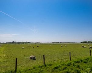 Unterkunft 010326 - Ferienhaus Texel - Huisje in De Waal