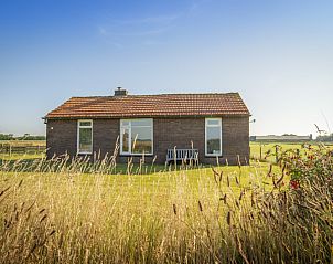 Unterkunft 010331 - Ferienhaus Texel - Huisje Schiller - 4883
