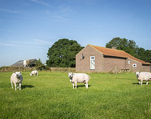 Unterkunft 010331 - Ferienhaus Texel - Huisje Schiller - 4883