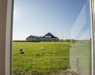 Unterkunft 010331 - Ferienhaus Texel - Huisje Schiller - 4883