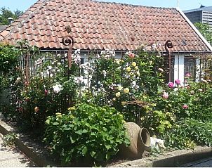 Guest house 010407 - Holiday property Texel - De Pimpelmees