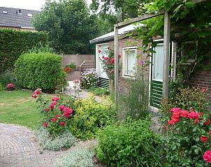 Guest house 0104102 - Holiday property Texel - Bungalow 0983