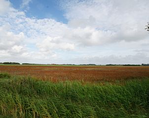 Guest house 0104108 - Holiday property Texel - Bungalow Waalenburg