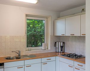 Guest house 0104108 - Holiday property Texel - Bungalow Waalenburg