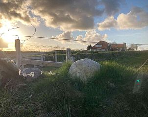 Guest house 0104118 - Holiday property Texel - NH200