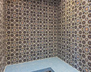 Guest house 0104123 - Holiday property Texel - Grauwe Kiekendief