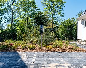 Guest house 0104123 - Holiday property Texel - Grauwe Kiekendief