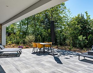 Guest house 0104123 - Holiday property Texel - Grauwe Kiekendief