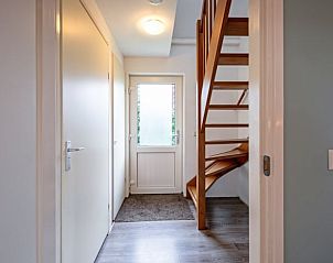 Horses graze near Holiday home in Den Burg, Texel, ideal for nature lovers.