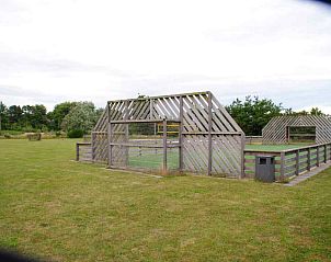 Wooded area near NH010 vacation home in Den Burg, Texel, Wadden Islands